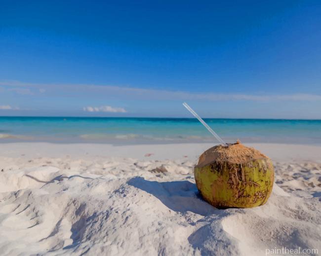 Coconut Drink On Beach Painting By Numbers Kits