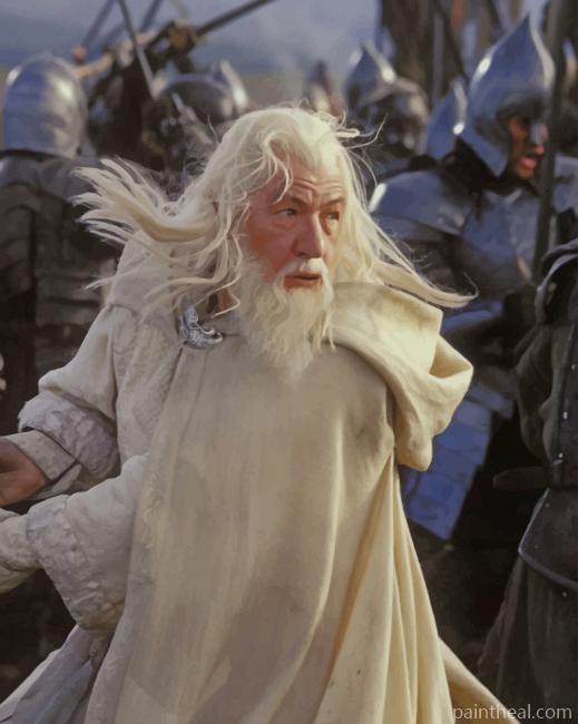 Gandalf The White Painting By Numbers Kits