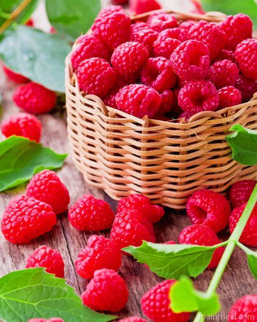 Fresh Raspberries Fruit Painting By Numbers Kits