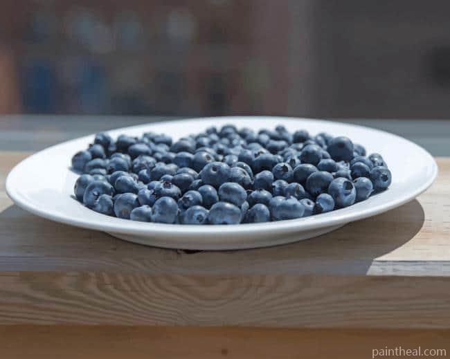 Blueberry Plate On Patio Painting By Numbers Kits
