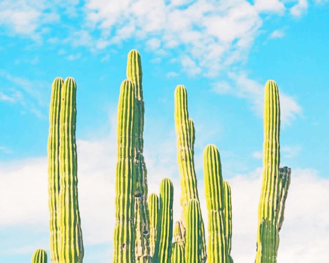 Green Cactus In Nature Painting By Numbers Kits