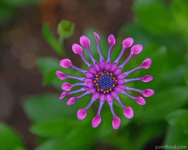 Purple Flower With Leaves Painting By Numbers Kits