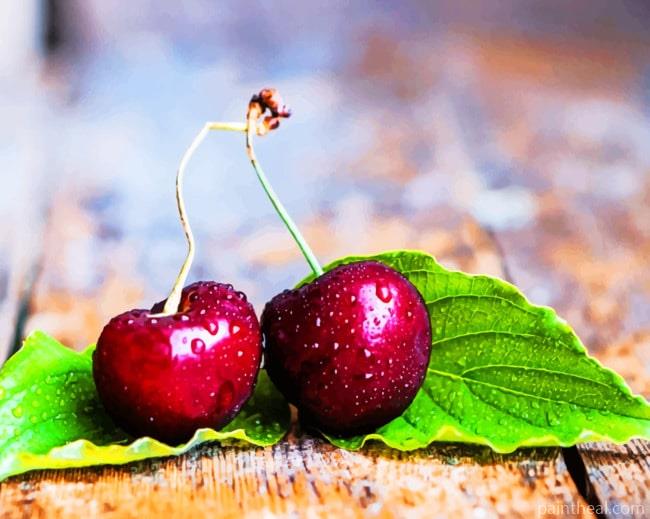 Two Cherries With Leaves Painting By Numbers Kits