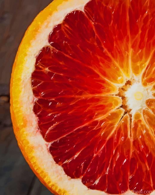 Close Up Orange Painting By Numbers Kits