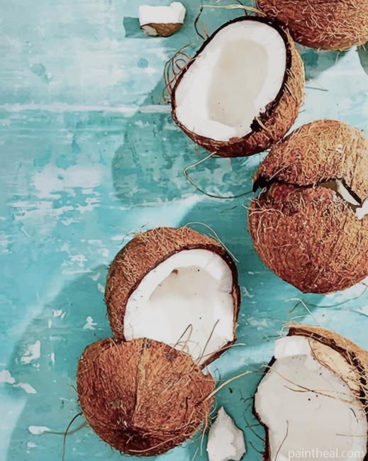 Coconut Fruit In Half Painting By Numbers Kits