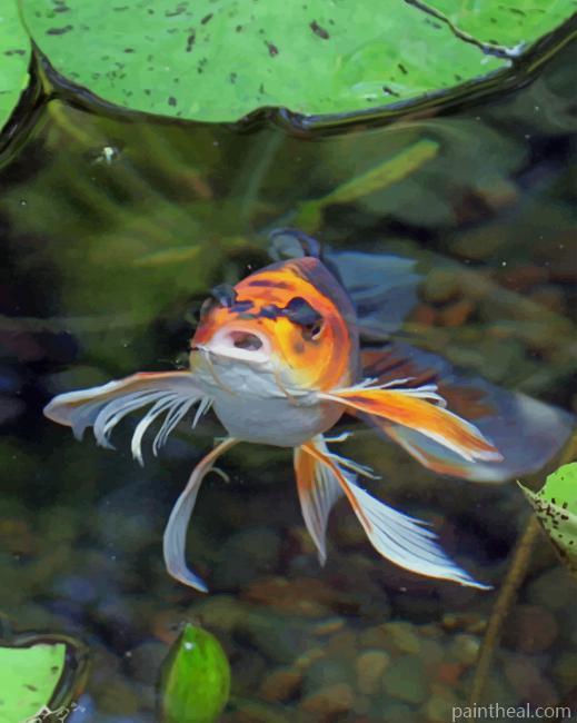 Koi Marathon Butterfly Fish Painting By Numbers Kits