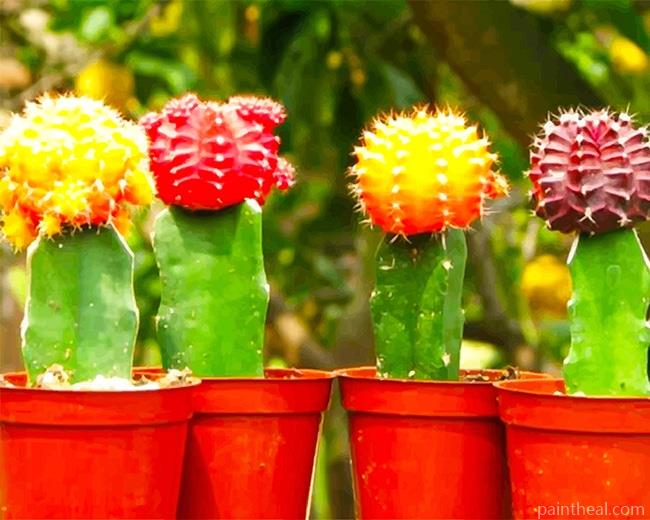 Colorful Cactus Painting By Numbers Kits