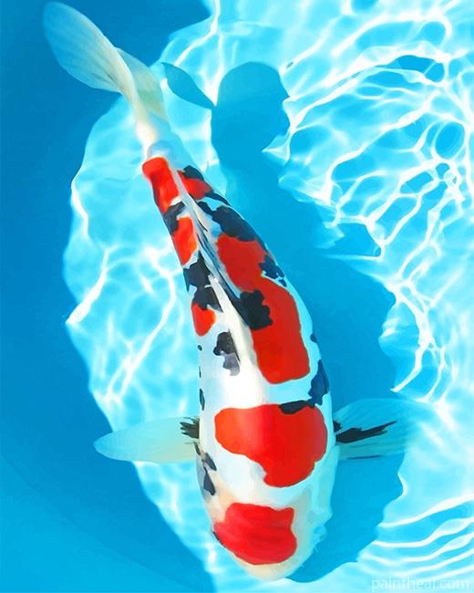 White And Red Koi Fish Painting By Numbers Kits