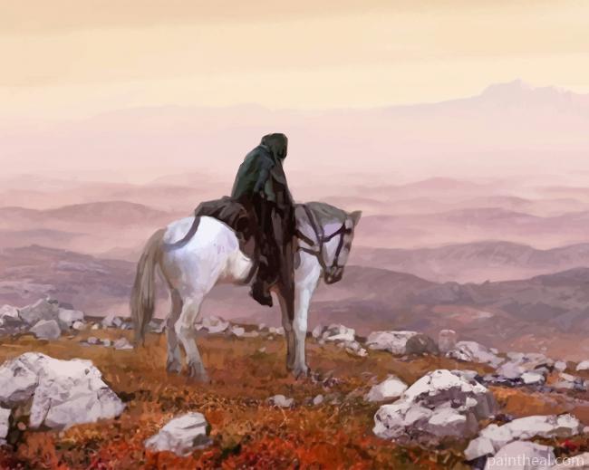 Tomas Honz Wanderer Painting By Numbers Kits