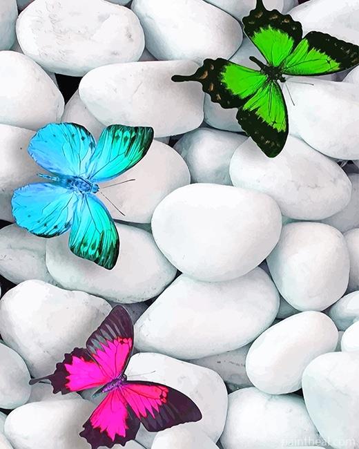 Colorful Butterflies Painting By Numbers Kits