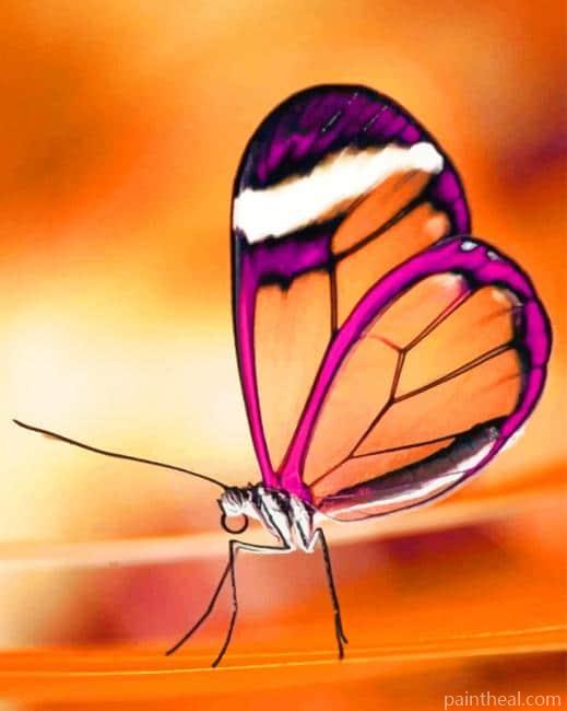 Translucent Butterfly Painting By Numbers Kits