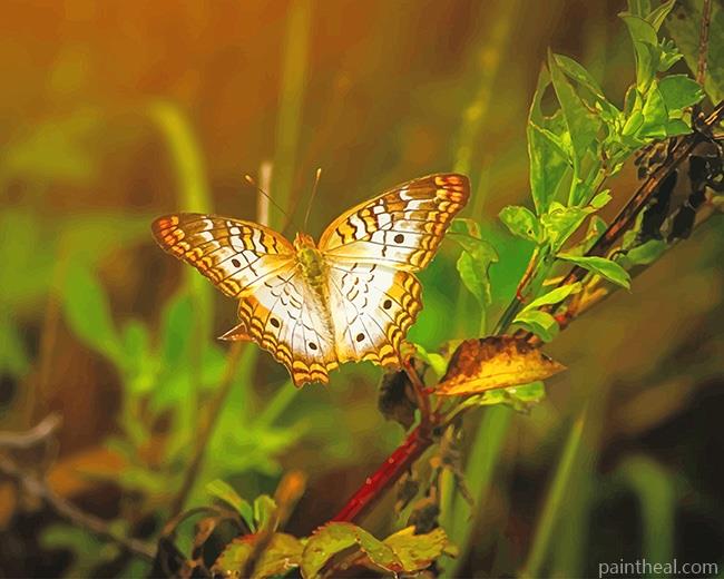 Yellow Butterfly On Leaves Painting By Numbers Kits
