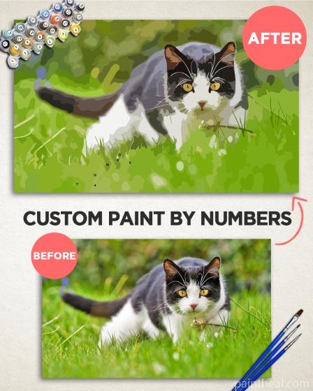 Paint By Numbers Custom Painting By Numbers Kits