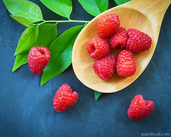 Raspberry Fruit Painting By Numbers Kits