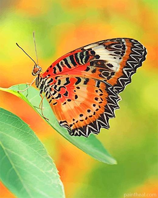 Black and Orange Butterfly Painting By Numbers Kits