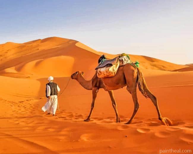 Maroccan Saharah Painting By Numbers Kits
