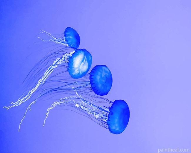 Blue Jellyfish Painting By Numbers Kits