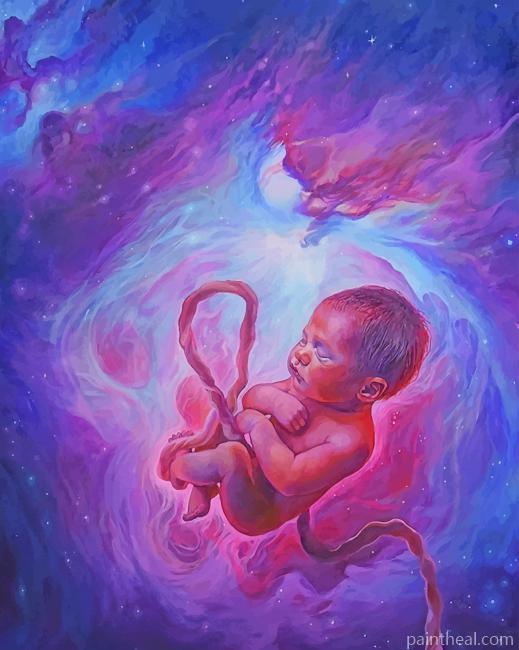 Galaxy Embryo Painting By Numbers Kits