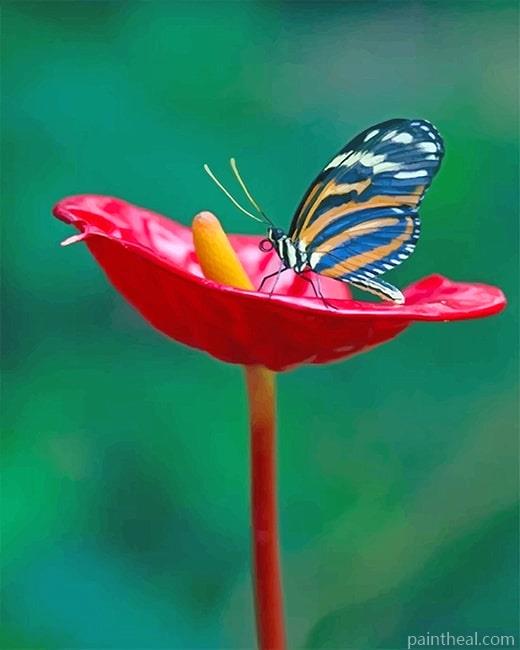 Red Flower Butterfly Painting By Numbers Kits