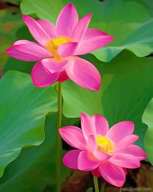 Sacred Lotus Plant Painting By Numbers Kits