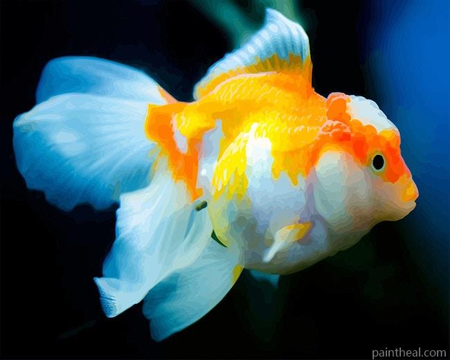 Pet Goldfish Painting By Numbers Kits