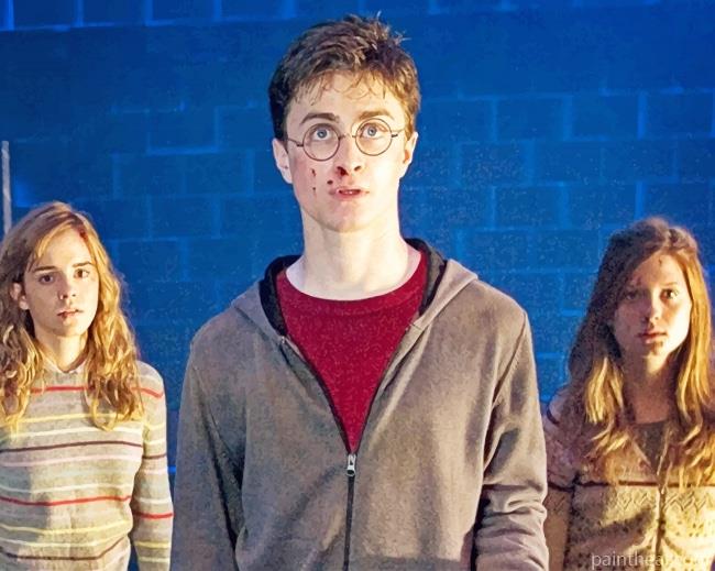 Harry Potter And The Order Painting By Numbers Kits