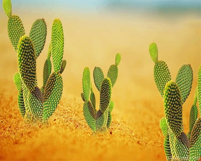 Cactus Desert Painting By Numbers Kits