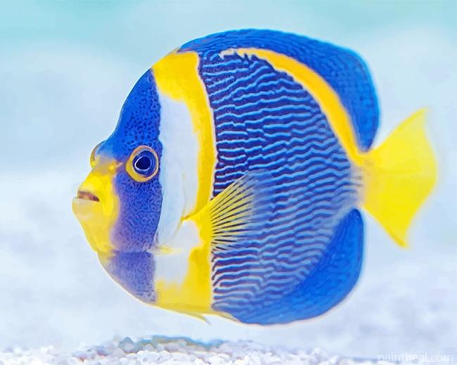 Blue and Yellow Fish Painting By Numbers Kits