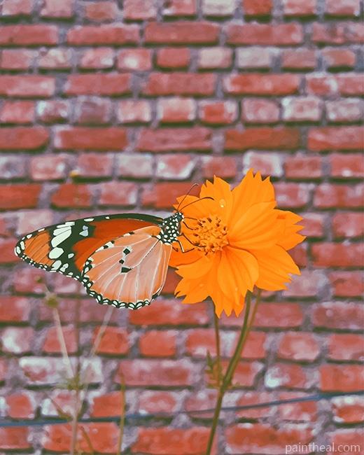 Butterfly On Orange Flower Painting By Numbers Kits