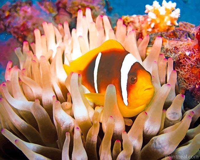Coral Reef Fish Swimming Painting By Numbers Kits