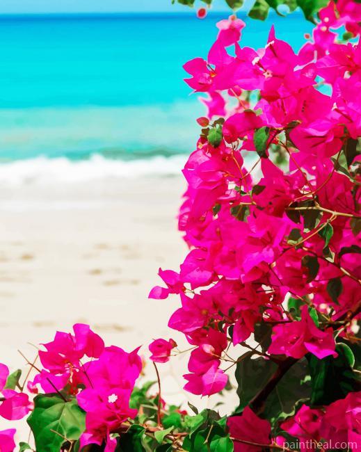 Bougainvillea Plants Painting By Numbers Kits