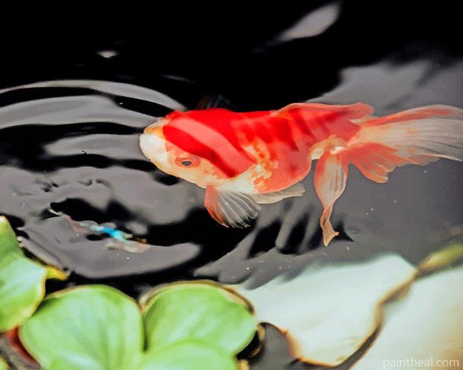 Koi Fish In Water Painting By Numbers Kits