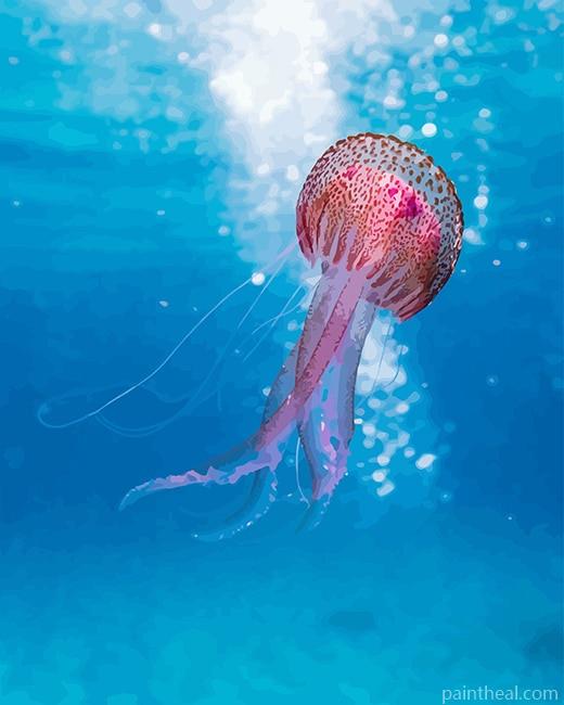 Pink Jellyfish In Ocean Painting By Numbers Kits