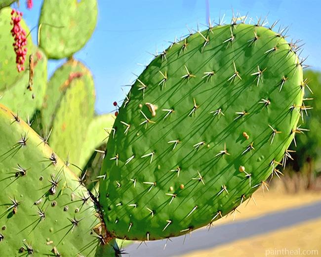 Close Up Cactus Painting By Numbers Kits