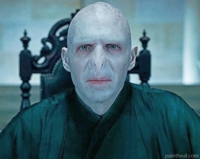 Harry Potter Lord Voldemort Painting By Numbers Kits