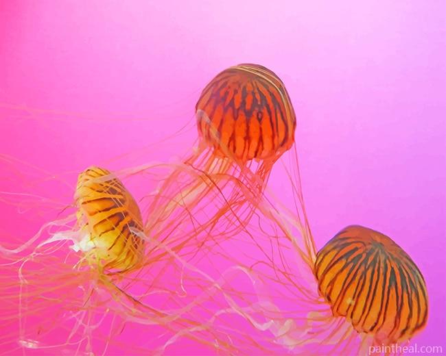 Brown And Black Jellyfishes Painting By Numbers Kits