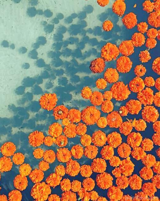 Orange Marigold Plants Painting By Numbers Kits
