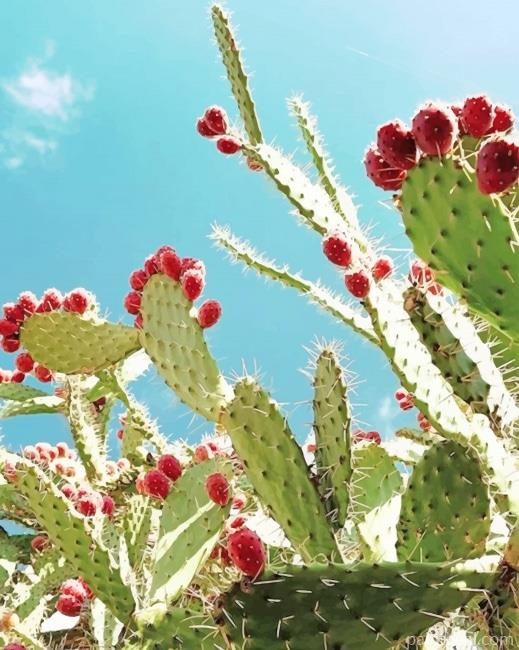 Cactus Barbary Fig Painting By Numbers Kits