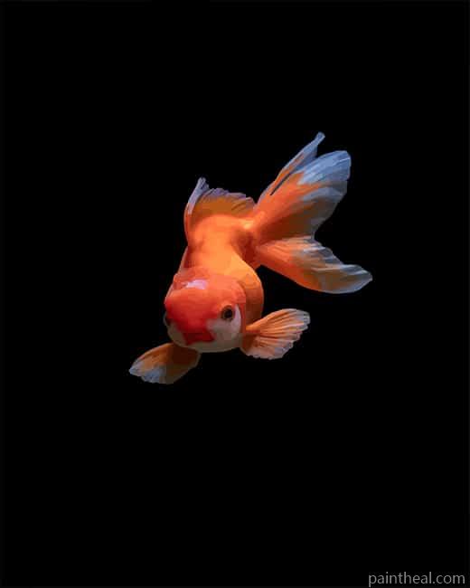 Lovely Golden Fish Painting By Numbers Kits