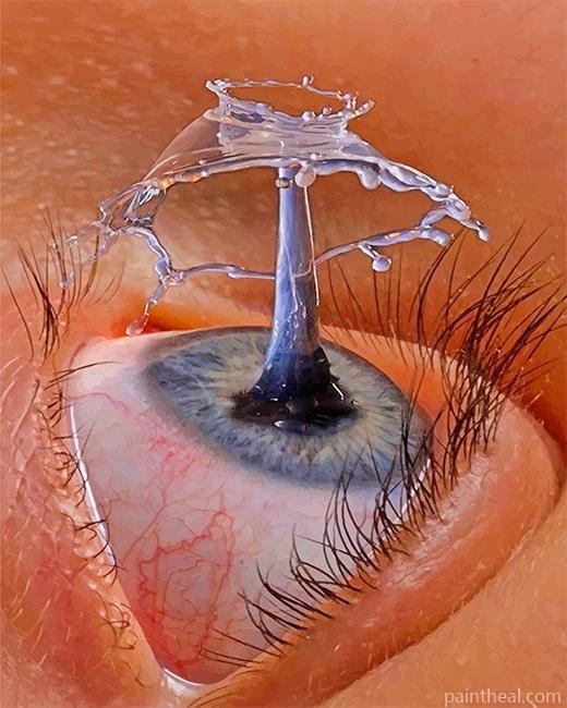 Eye Drop Painting By Numbers Kits
