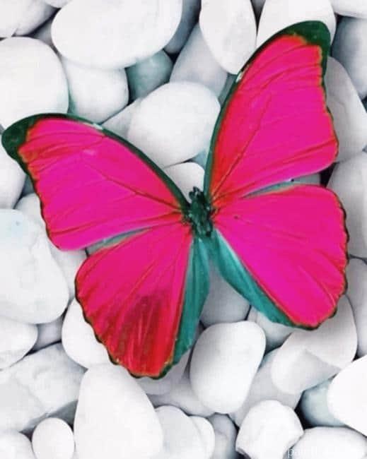 Pink Butterfly Painting By Numbers Kits
