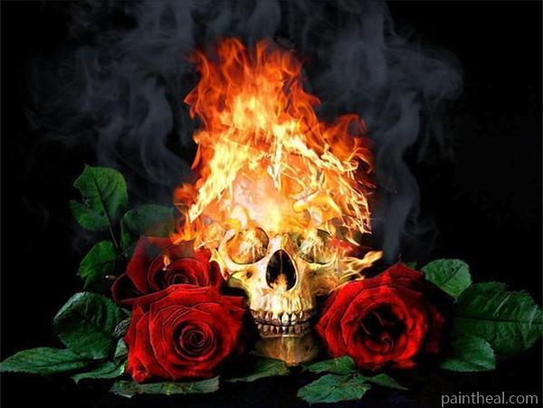 Fire Skull With Roses Painting By Numbers Kits