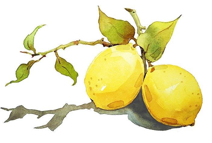 Lemons Fruit Painting By Numbers Kits
