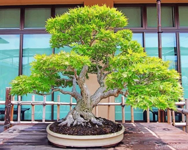 Bonsai Tree Painting By Numbers Kits