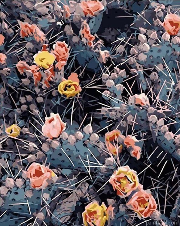 Prickly Pear Blooms Painting By Numbers Kits