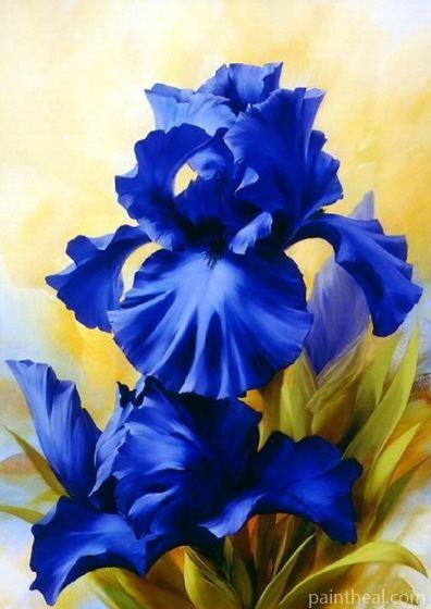 Blue Iris Painting By Numbers Kits