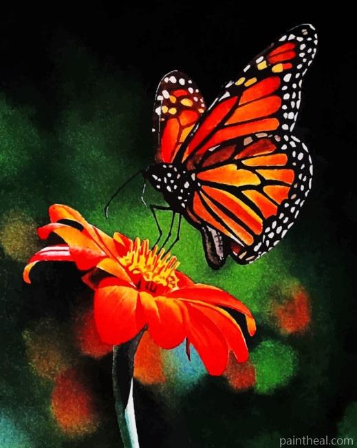 Monarch Butterfly On Flower Painting By Numbers Kits