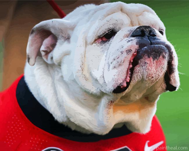 Georgia Bulldog Painting By Numbers Kits