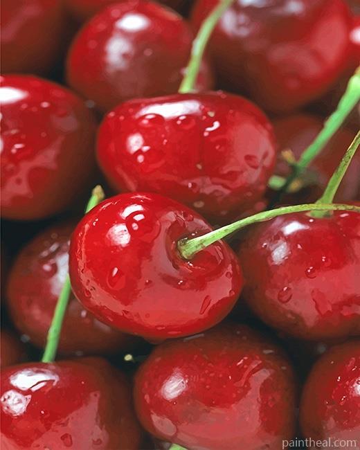 Sweet Cherries Painting By Numbers Kits