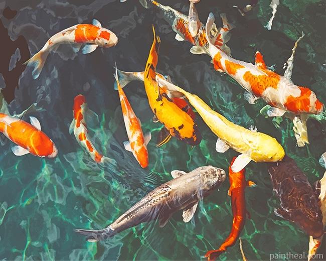Orange and White Koi Fish Painting By Numbers Kits